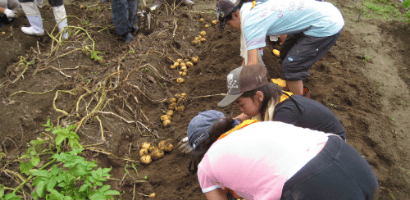 農業体験イメージ写真