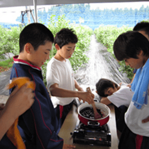 ブルーベリージャム作りイメージ写真