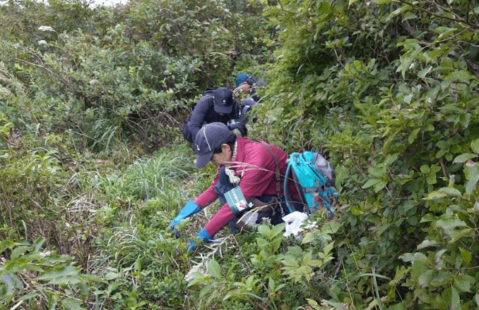 外来種防除体験プログラム イメージ写真