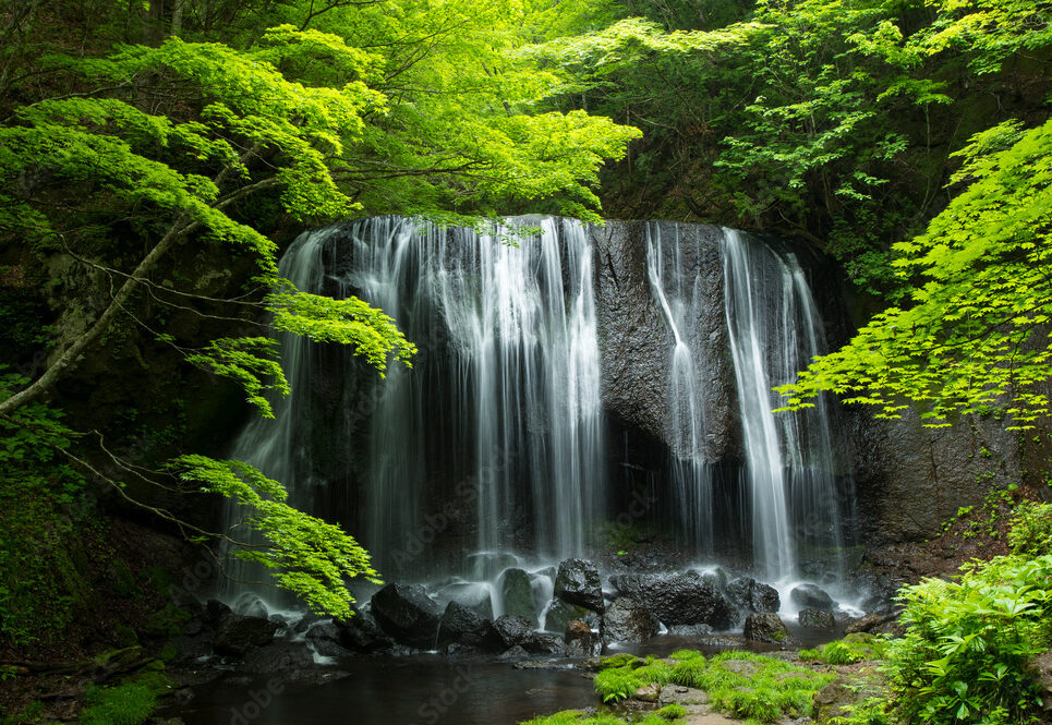 夏の達沢不動滝