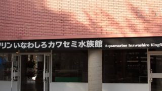 アクアマリンいなわしろカワセミ水族館