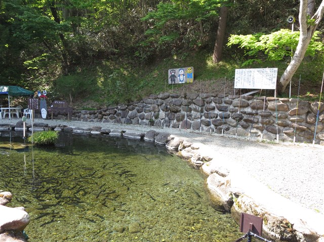 渓流つり堀 ぼん天の記事画像6