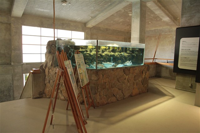 アクアマリンいなわしろカワセミ水族館の記事画像10