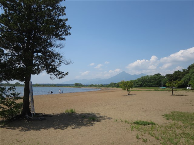 志田浜（シダハマ）の記事画像3