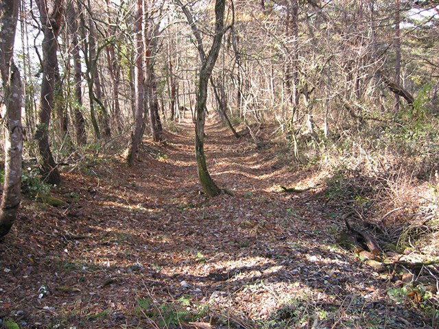 三忠碑・旧二本松街道の記事画像5