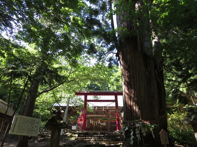 磐椅神社の記事画像5