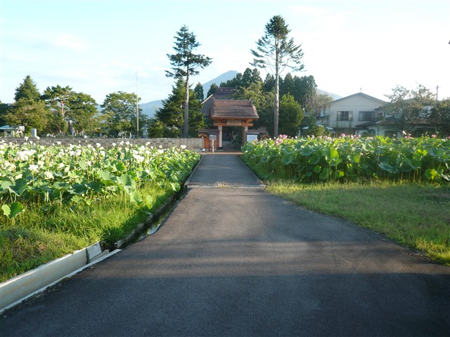 長照寺の記事画像6