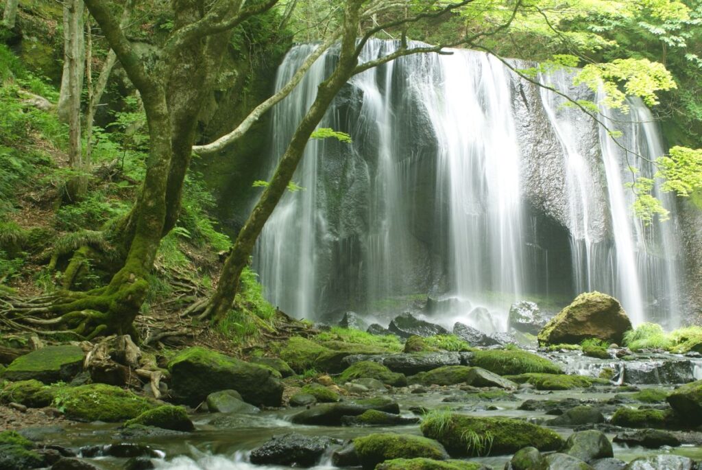 夏の達沢不動滝