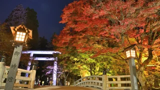 秋の土津神社