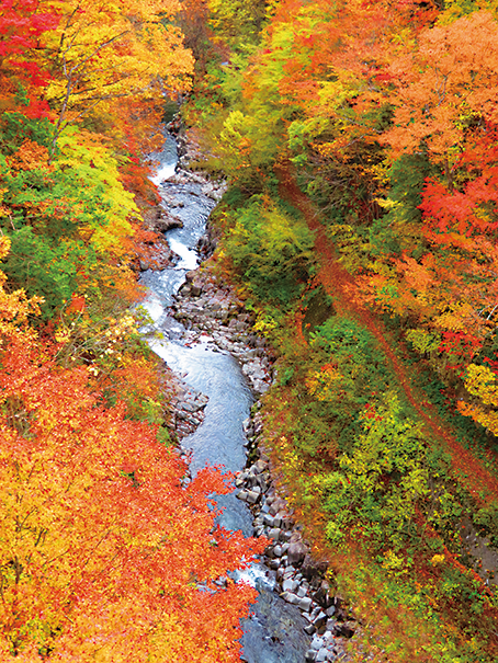 中津川渓谷の紅葉