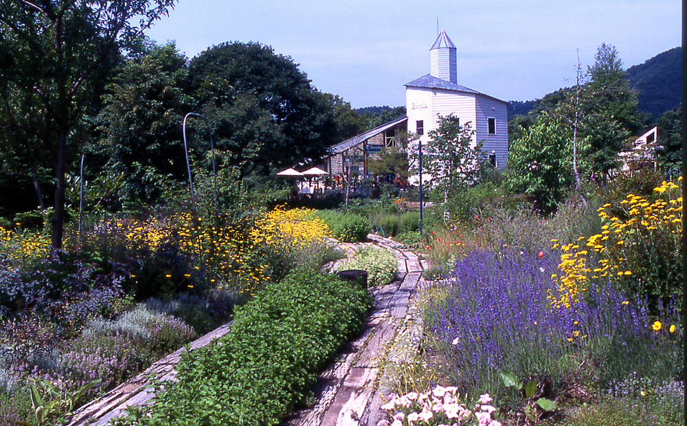 Bandia Herb Garden